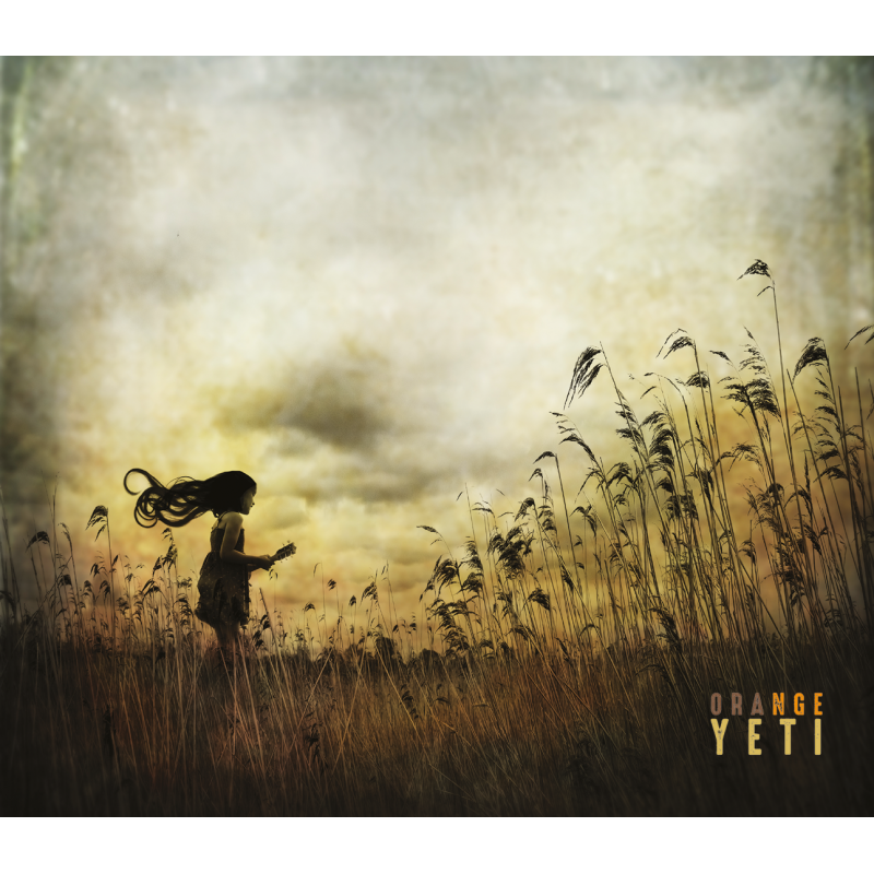 Pochette de : ORANGE YETI - ORANGE YETI (VINYLE 33T)