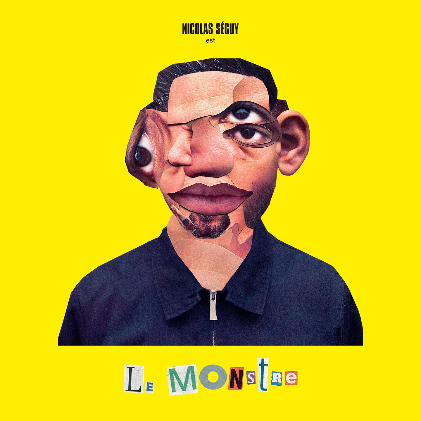 Pochette de : LE MONSTRE - NICOLAS SÉGUY (VINYLE 33T)