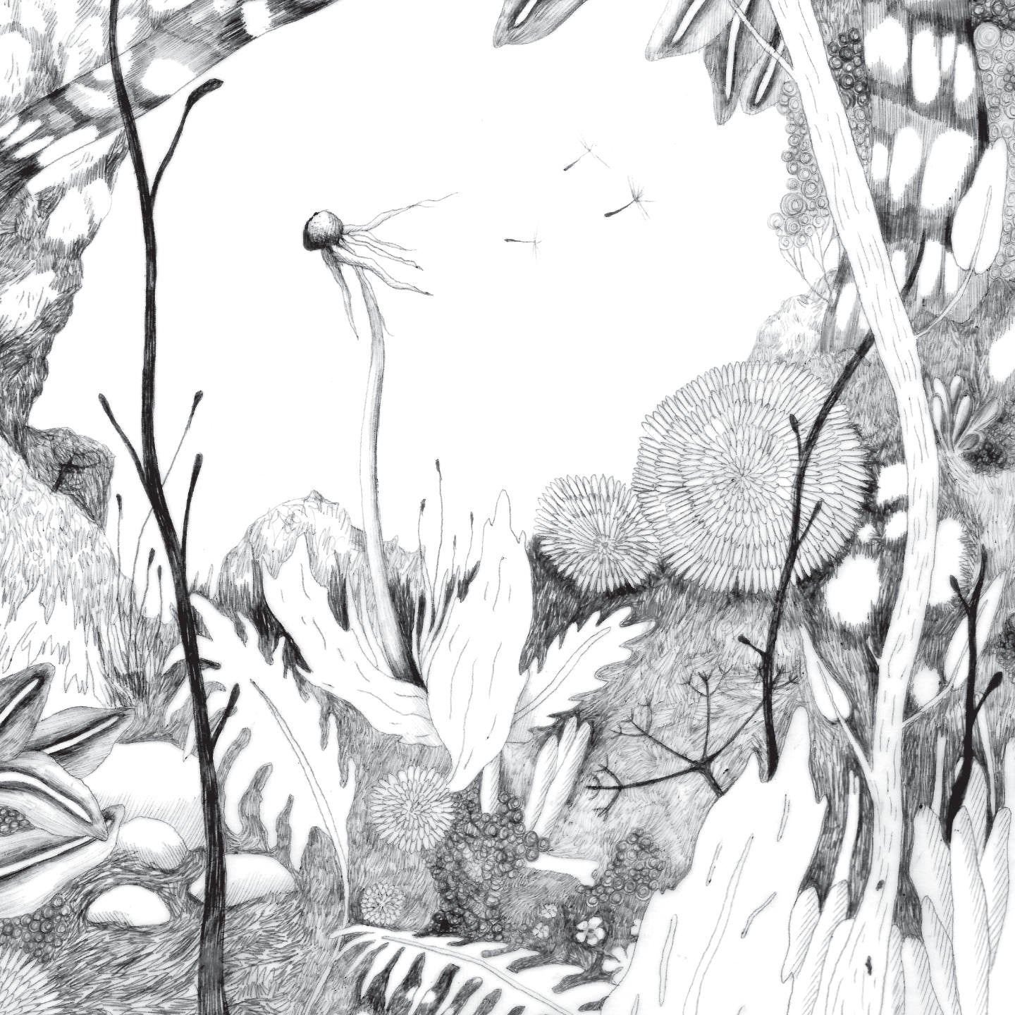 Pochette de : TIME WHISPERS - BACK & FORTH (CD)