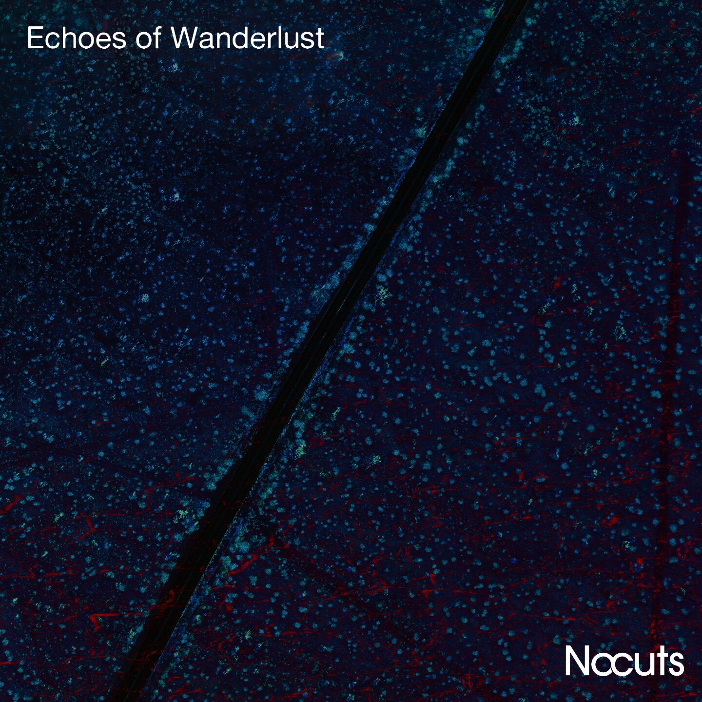 Pochette de : ECHOES OF WANDERLUST - NOCUTS (CD)