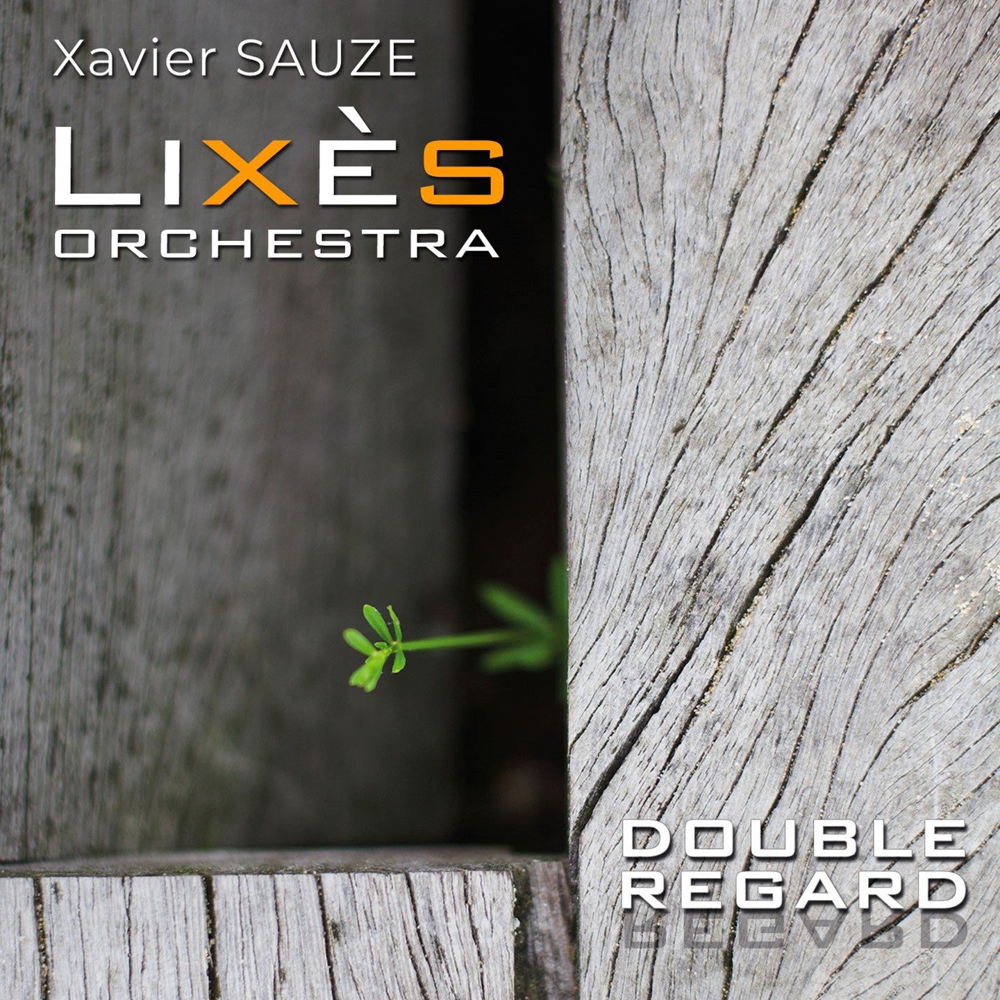Pochette de : DOUBLE REGARD - LIXÈS ORCHESTRA (CD)