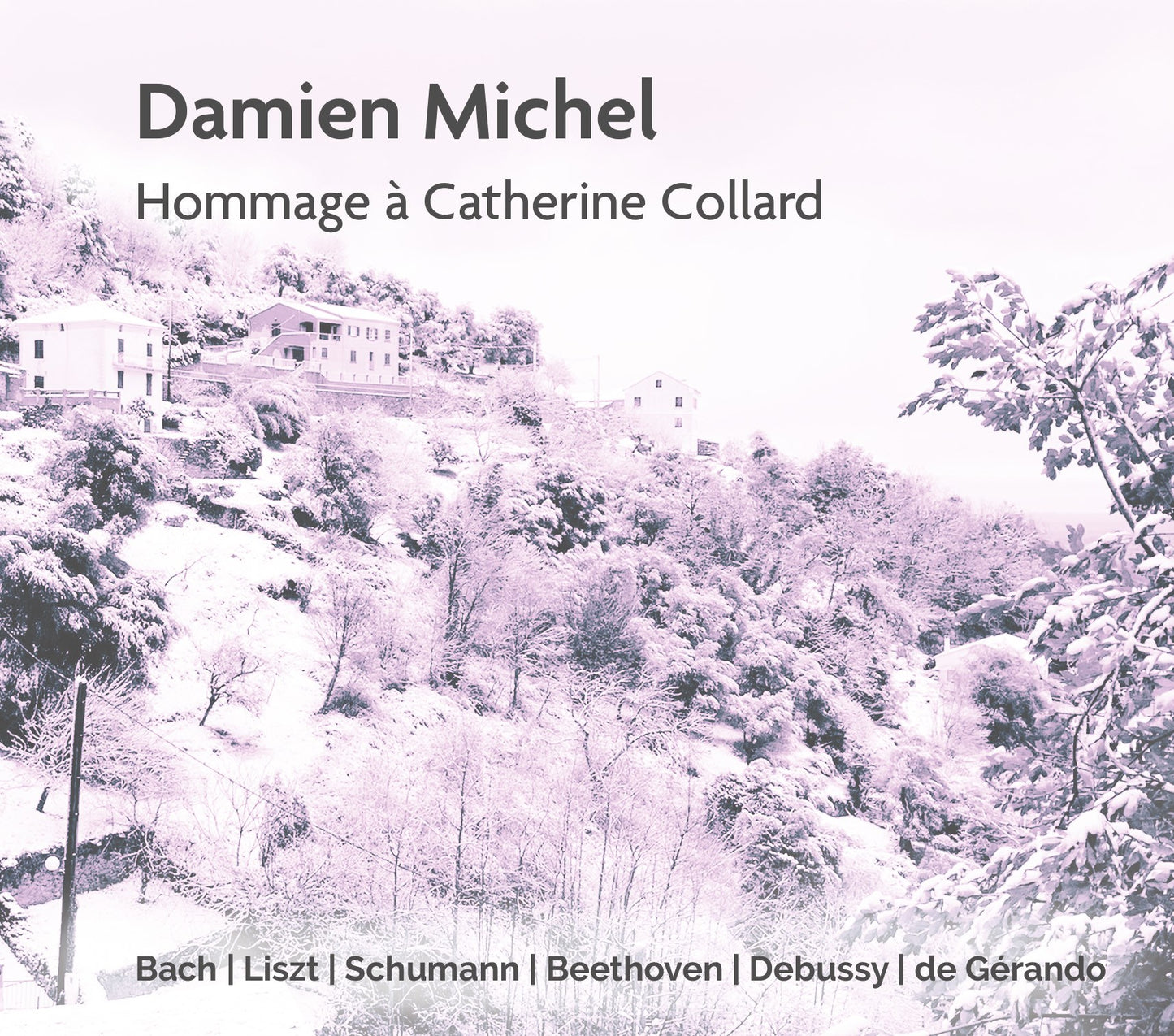 Pochette de : HOMMAGE À CATHERINE COLLARD - ASSOCIATION ACEL (CD)