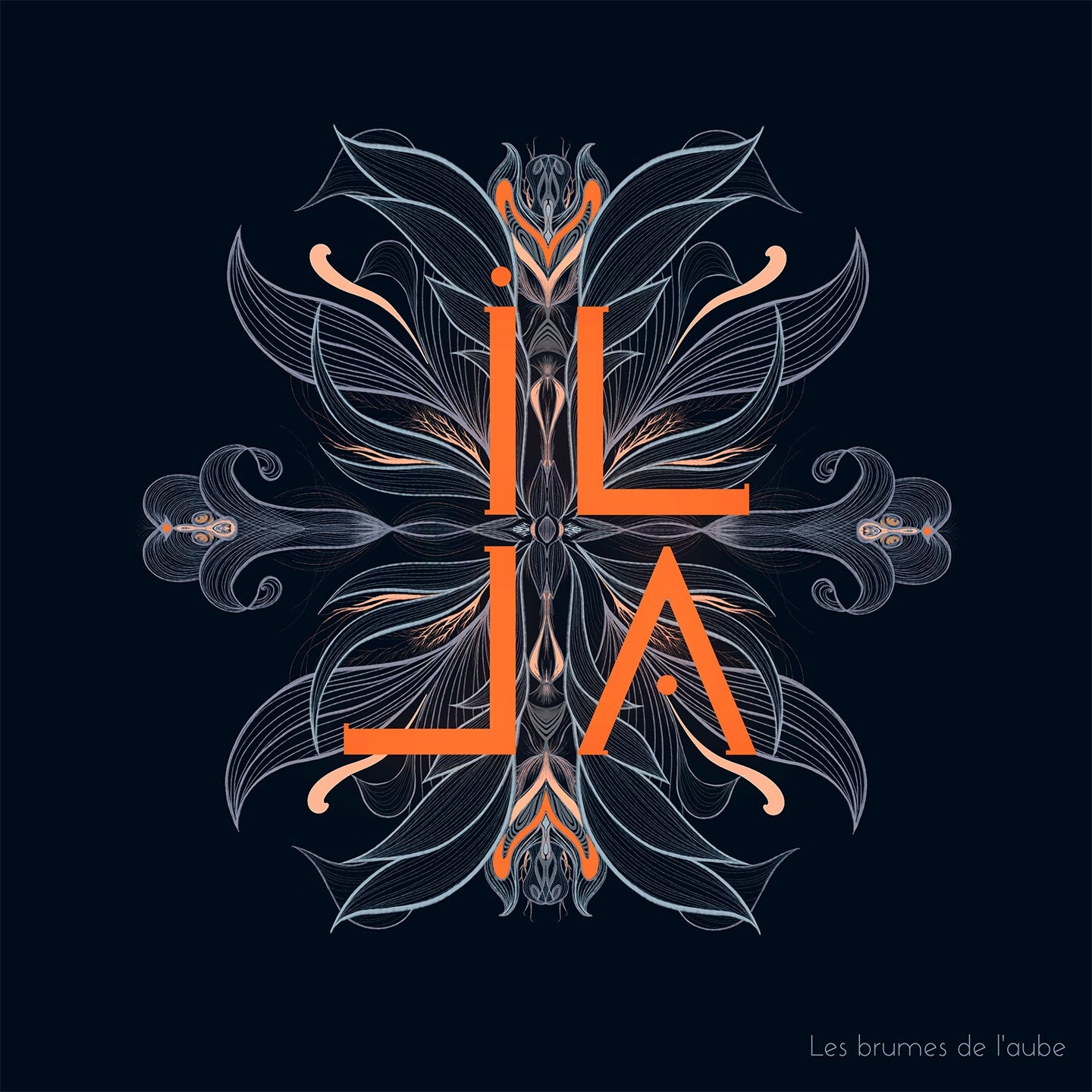 Pochette de : LES BRUMES DE L'AUBE - ILLA - DIANE DELZANT, STÉPHANE MILLERET, SYLVAIN QUÉRÉ, SÉBASTIEN TRON (CD)