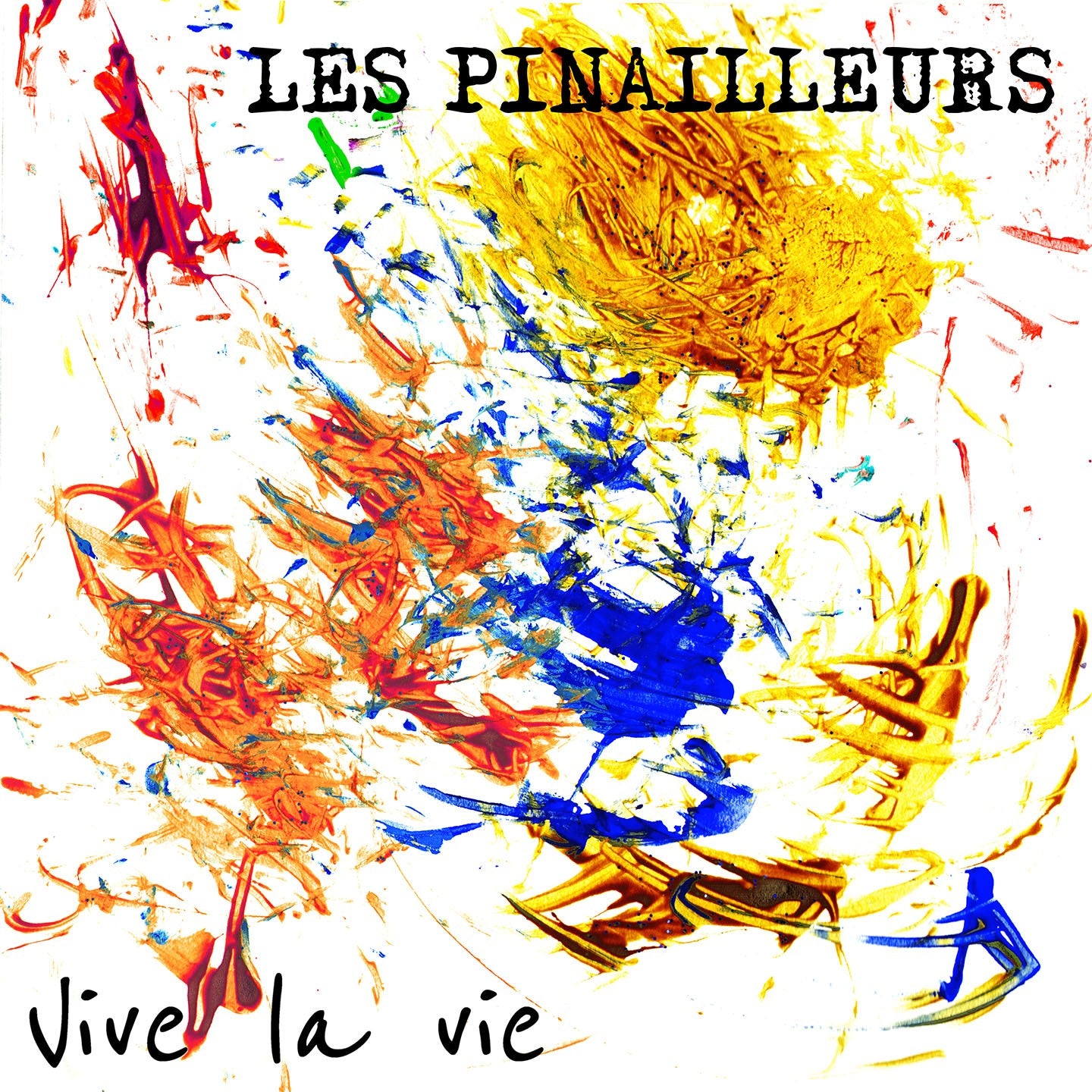 Pochette de : VIVE LA VIE - PINAILLEURS (CD)