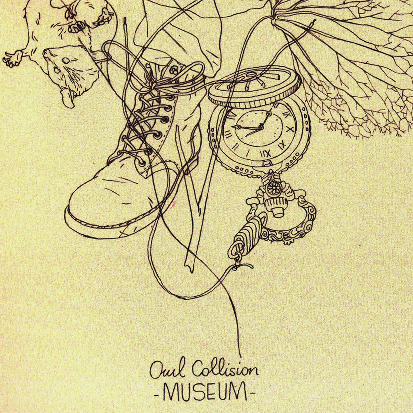Pochette de : MUSEUM - OWL COLLISION (CD)