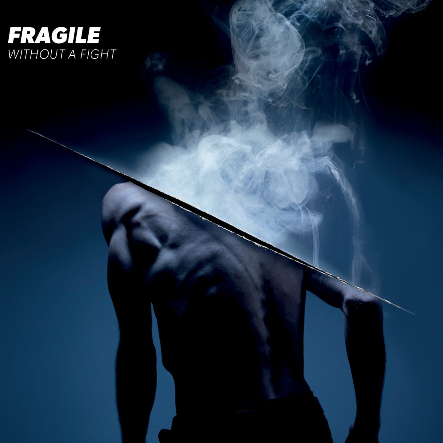Pochette de : WITHOUT A FIGHT - FRAGILE (CD)