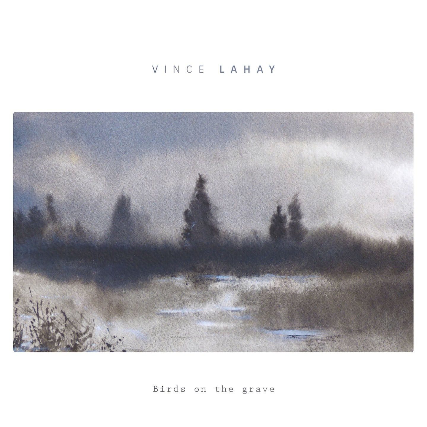 Pochette de : BIRDS ON THE GRAVE - VINCE LAHAY (CD)
