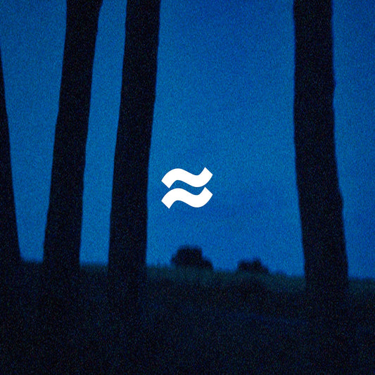 Pochette de : AUX PORTES DE LA NUIT - VAGUES (CD)