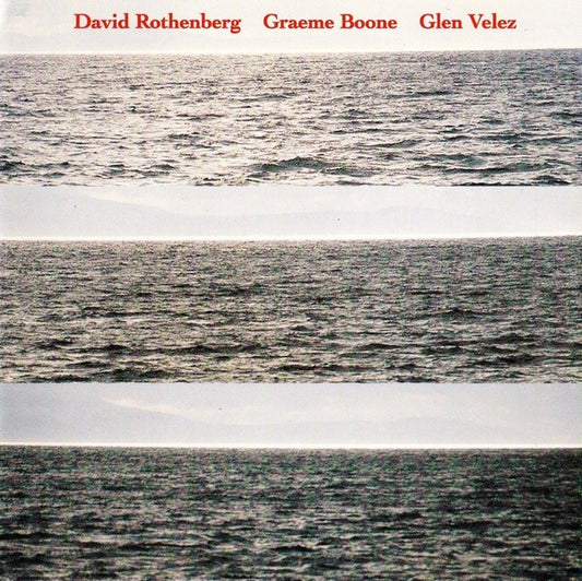 Pochette de :  ON THE CLIFFS OF THE HEART  - DAVID ROTHENBERG (CD)