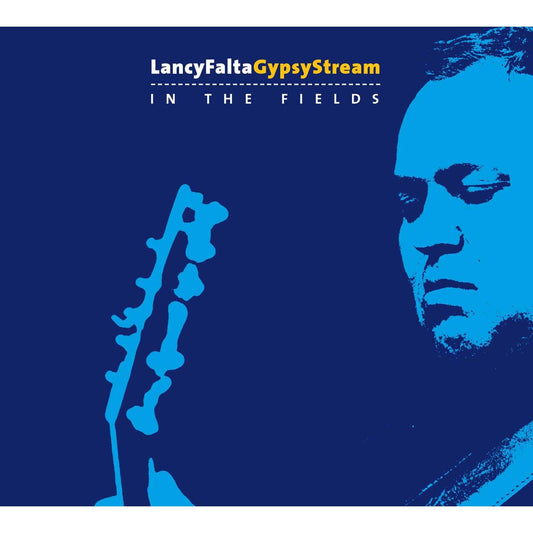 Pochette de : IN THE FIELDS - LANCY FALTA GYPSY STREAM (CD)