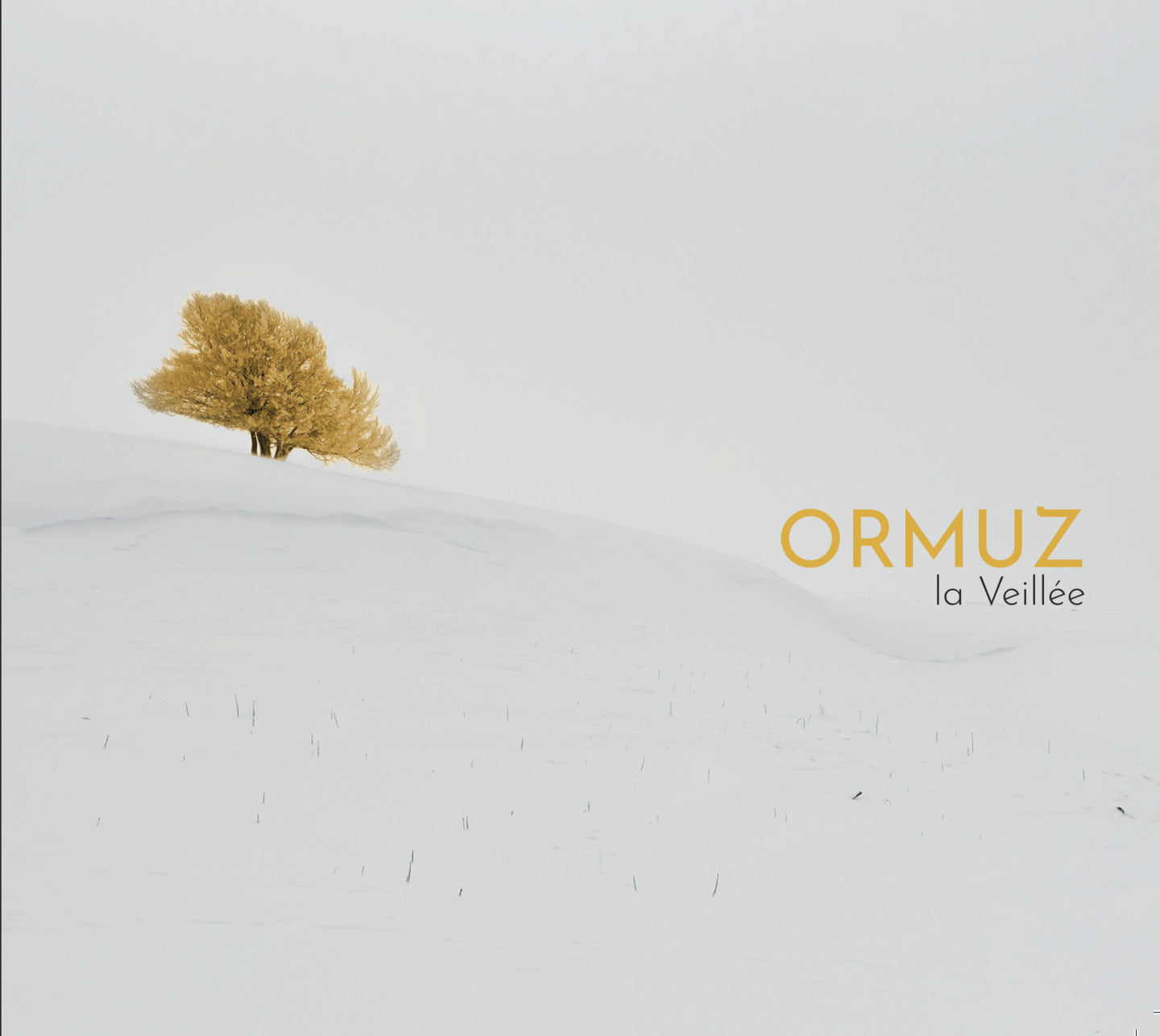 Pochette de : LA VEILLÉE - ORMUZ (CD)