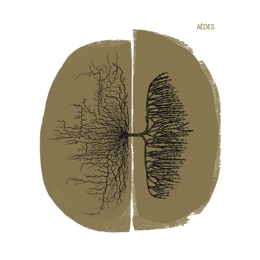 Pochette de : CAMIN SOBIRAN - AÈDES (CD)