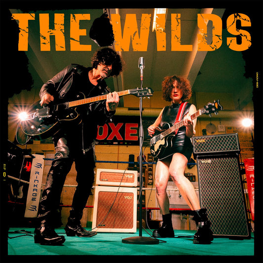 Pochette de : ROCK TO THE BONE - THE WILDS (VINYLE 33T)