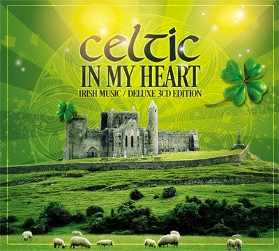 Pochette de : CELTIC IN MY HEART - MULTI-ARTISTES (DOUBLE CD)