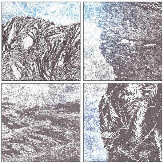 Pochette de : THE LAND BEHIND US - ARROYO (CD)