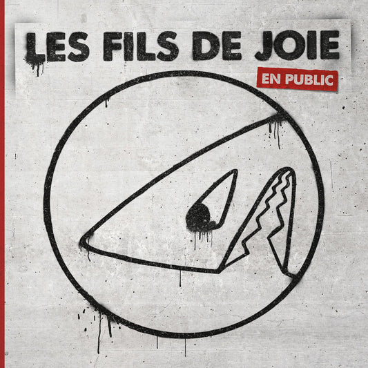 Pochette de : EN PUBLIC - FILS DE JOIE (DOUBLE VINYLE 33T)