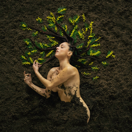 Pochette de : MAUVAISE GRAINE - SISKA (CD)