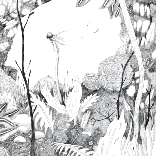 Pochette de : TIME WHISPERS - BACK & FORTH (CD)