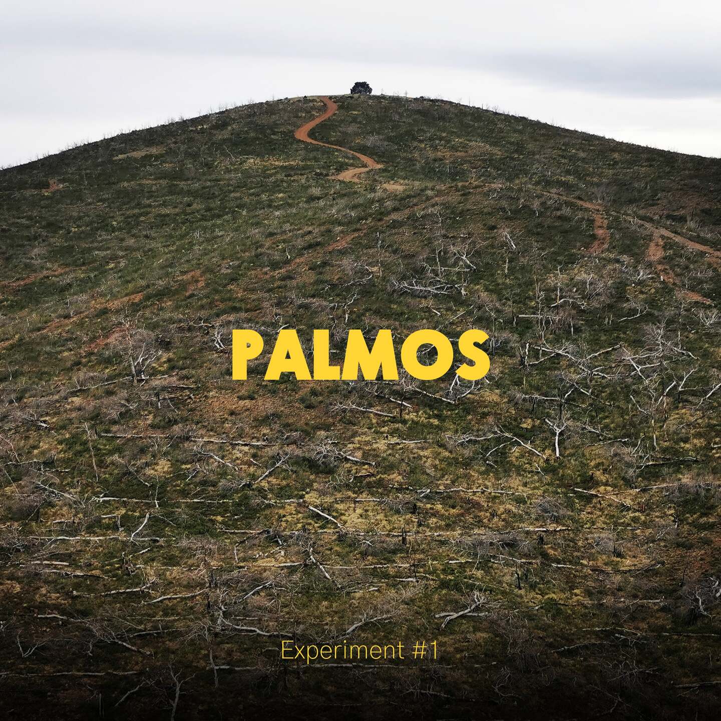 Pochette de : PALMOS EXPERIMENT - VOL 1 - PALMOS EXPERIMENT (CD)