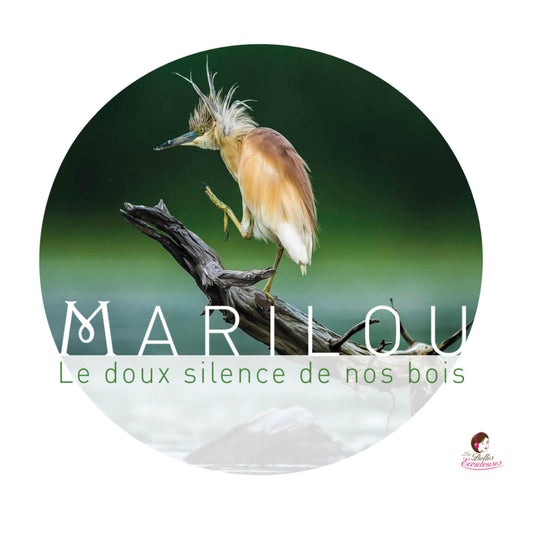 Pochette de : LE DOUX SILENCE DE NOS BOIS - ENSEMBLE MARILOU (CD+DVD)
