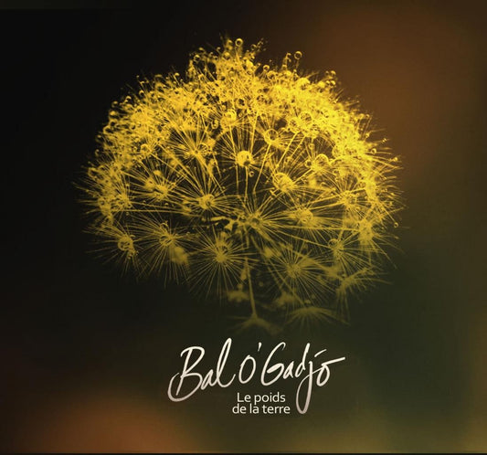Pochette de : LE POIDS DE LE TERRE - BAL O'GADJO (CD)