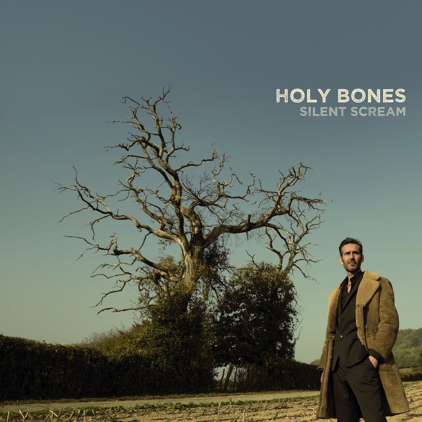 Pochette de : SILENT SCREAM - HOLY BONES (VINYLE 33T)