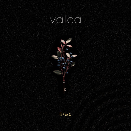 Pochette de : HOME - VALCA (VINYLE 33T)