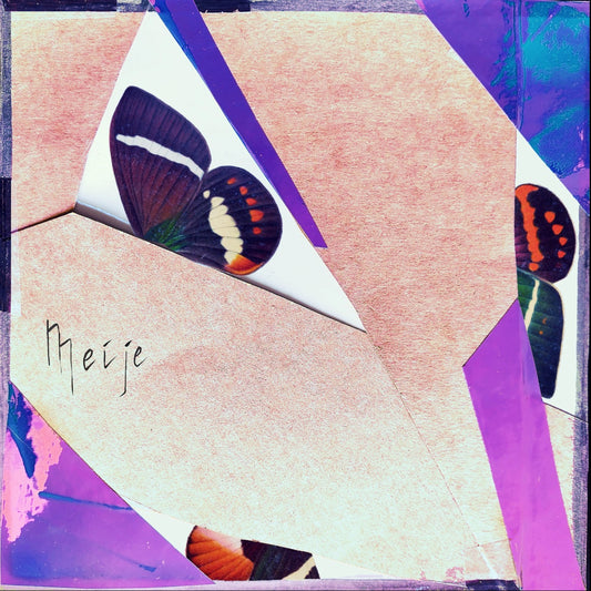 Pochette de : LIVE PETIT FAUCHEUX 13.09.23 - MEIJE (CD)