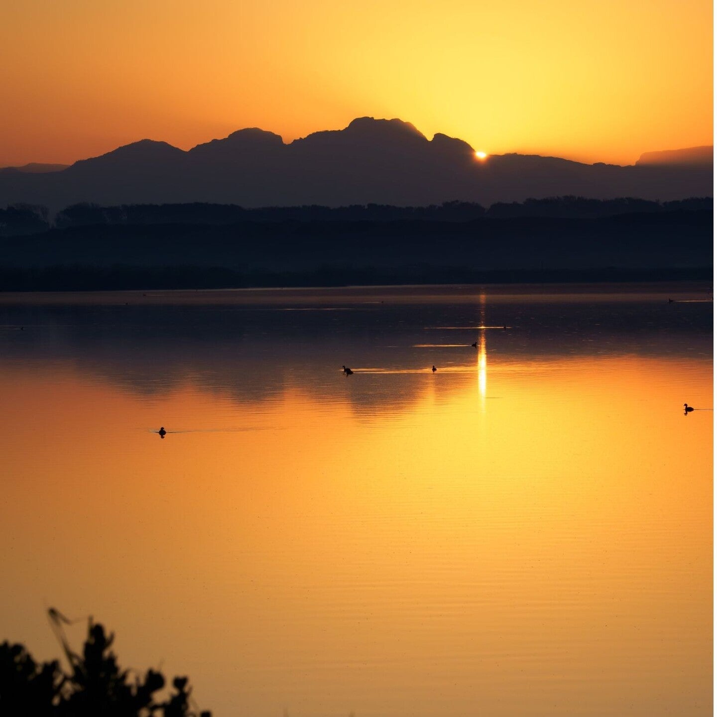 Pochette de : BANTU RIVER - KEMIT & EBOB (CD)