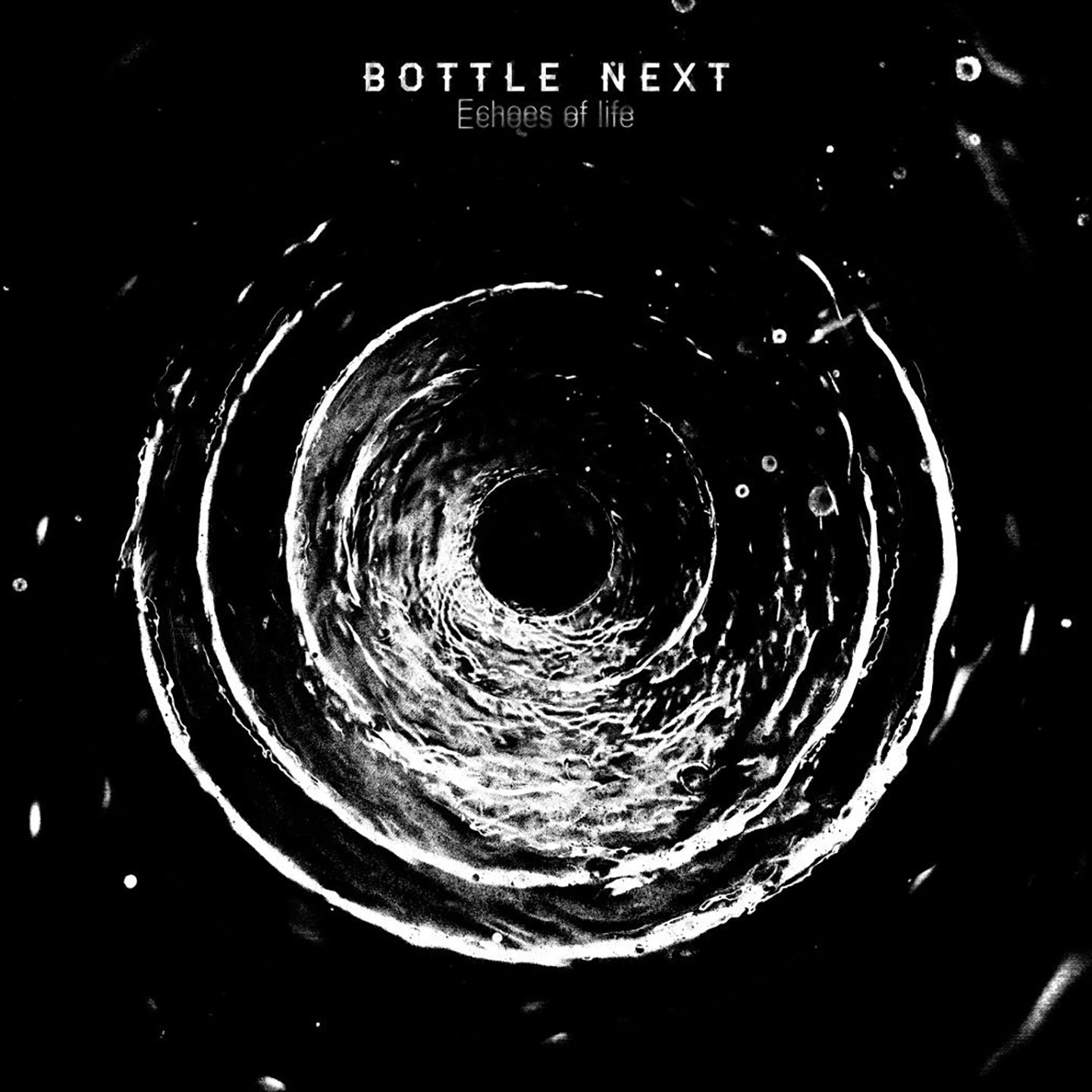 Pochette de : ECHOES OF LIFE - BOTTLE NEXT (VINYLE 33T)