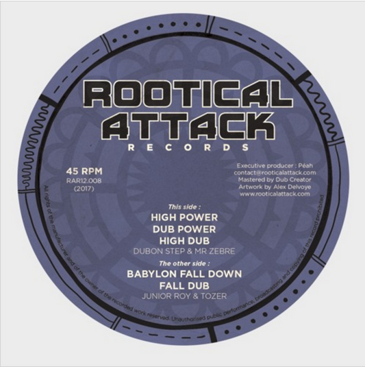Pochette de : BABYLON FALL DOWN - TOZER & MR ZEBRE (VINYLE 33T)