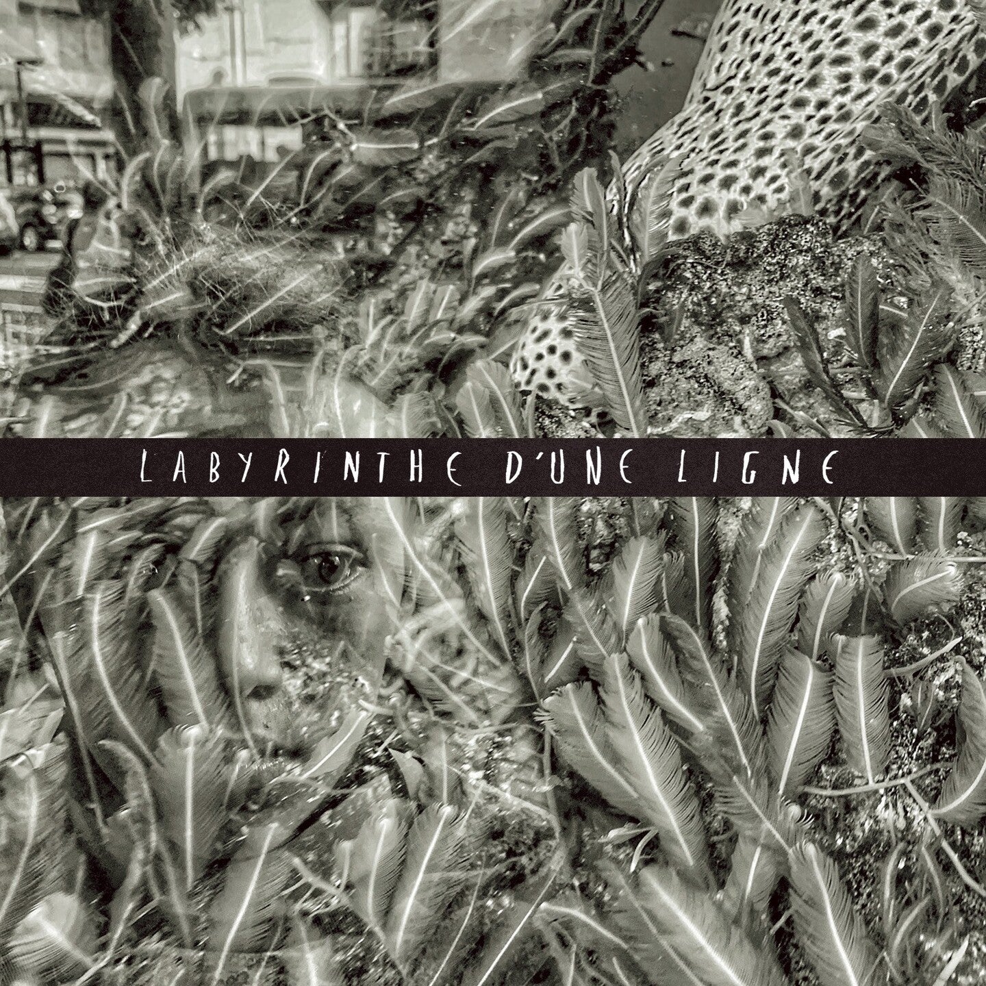 Pochette de : LABYRINTHE D'UNE LIGNE - LABYRINTHE D'UNE LIGNE (CD)