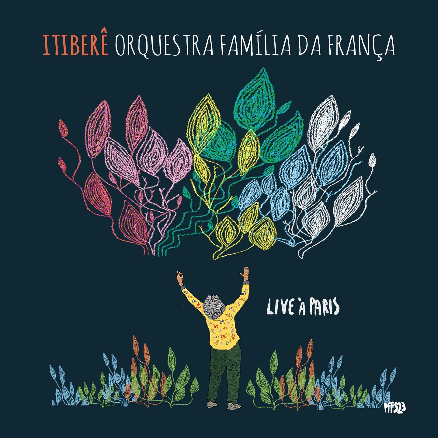Pochette de : LIVE A PARIS - ITIBERE ZWARG, ORCHESTRA FAMILIA DA FRANÇA (CD)