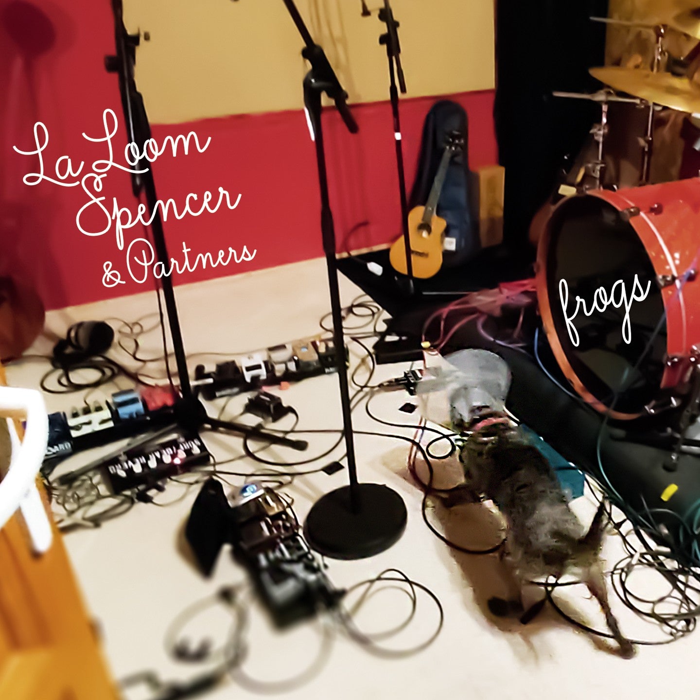 Pochette de : FROGS - LA LOOM, SPENCER AND PARTNERS (CD)