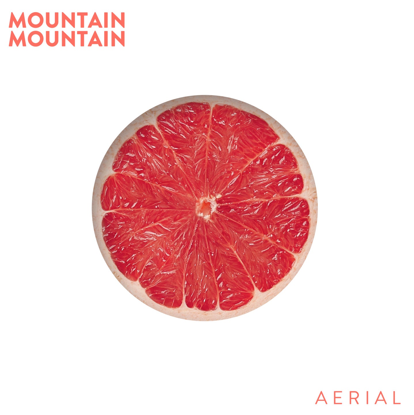 Pochette de : AERIAL - MOUNTAIN MOUNTAIN (VINYLE 33T)
