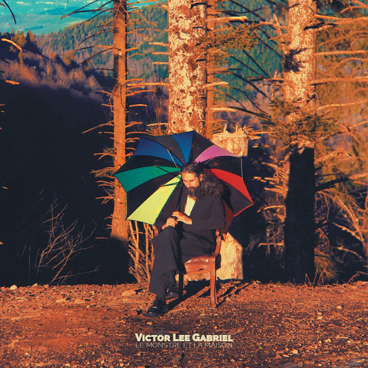 Pochette de : LE MONSTRE ET LA MAISON - VICTOR LEE GABRIEL (CD)