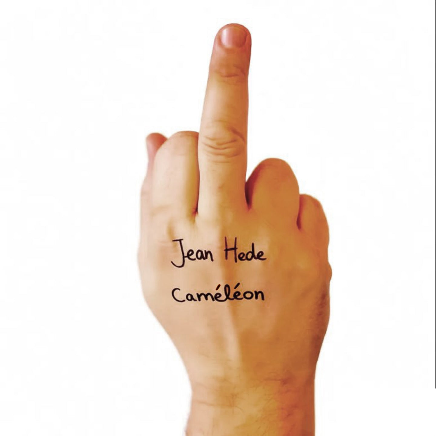Pochette de : CAMÉLÉON - JEAN HEDE (VINYLE 33T)