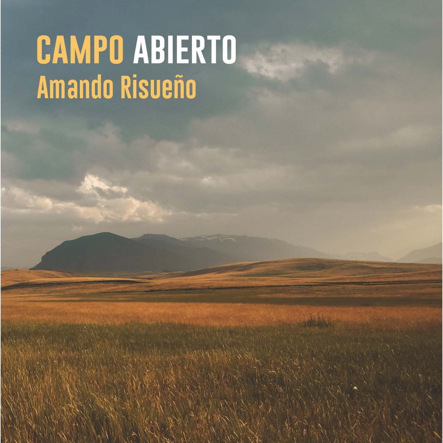 Pochette de : CAMPO ABIERTO - AMANDO RISUEÑO (CD)