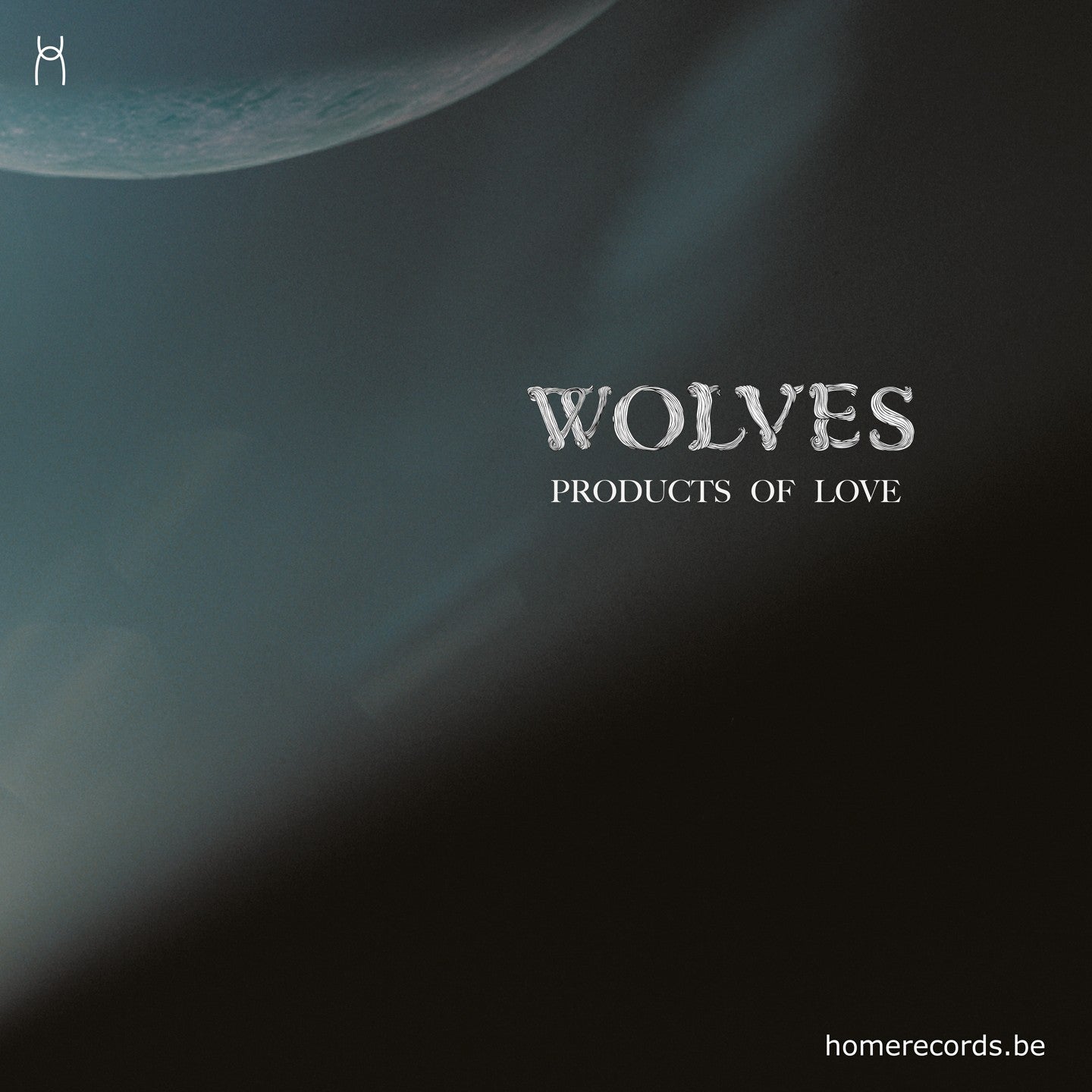 Pochette de : PRODUCTS OF LOVE - WOLVES (CD)