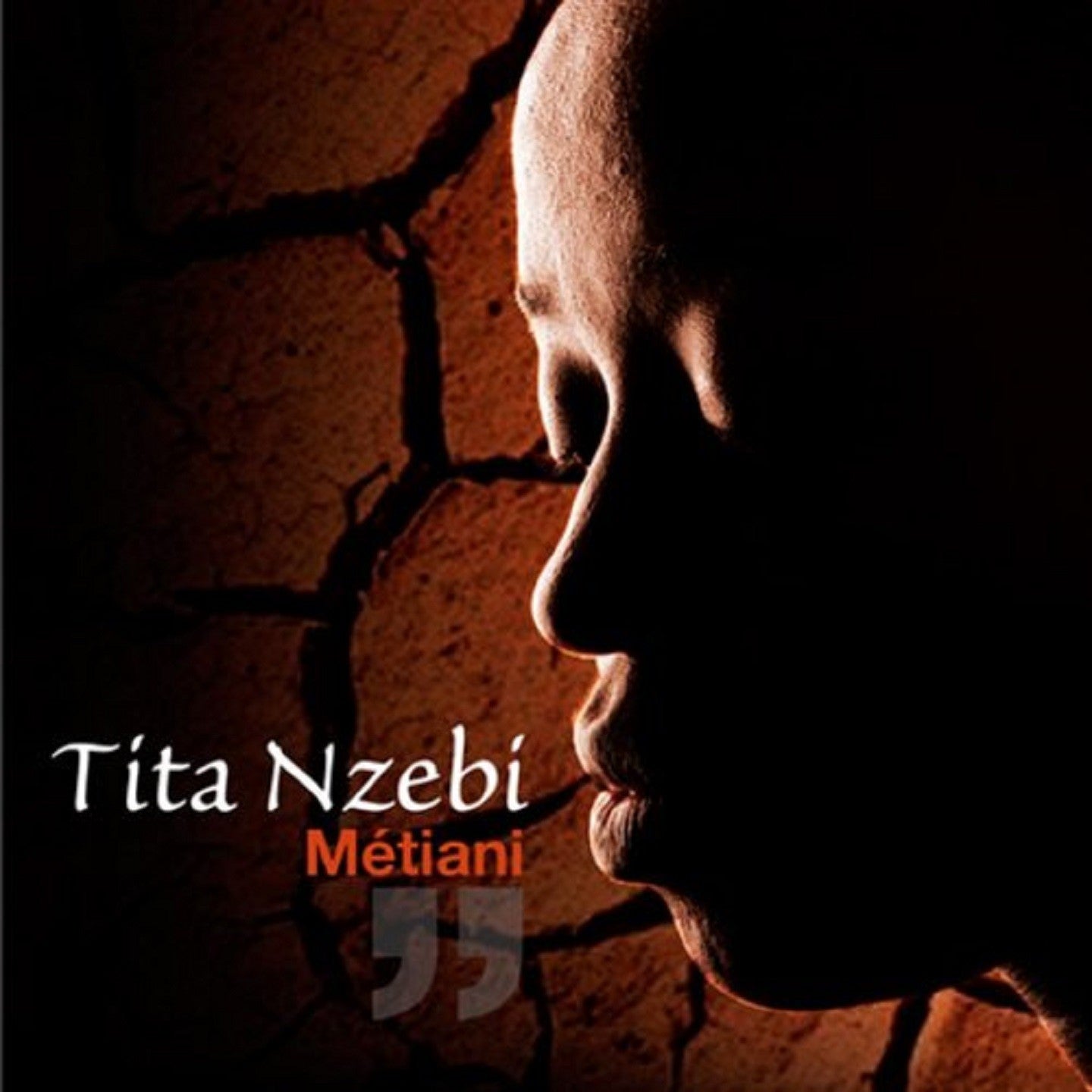 Pochette de : METIANI - TITA NZEBI (CD)