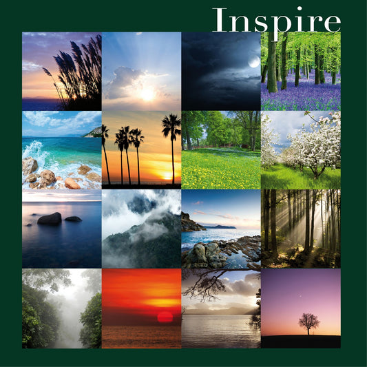 Pochette de : INSPIRE - PHILIPPE BESTION ET VINCENT BRULEY (CD)