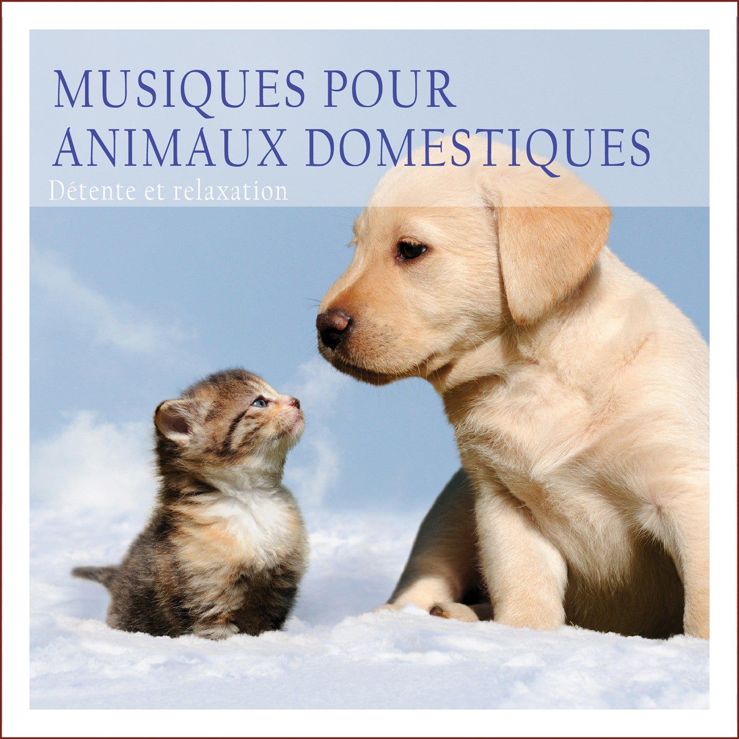 Pochette de : MUSIQUE POUR ANIMAUX DOMESTIQUES - ARGON RIFFER (CD)