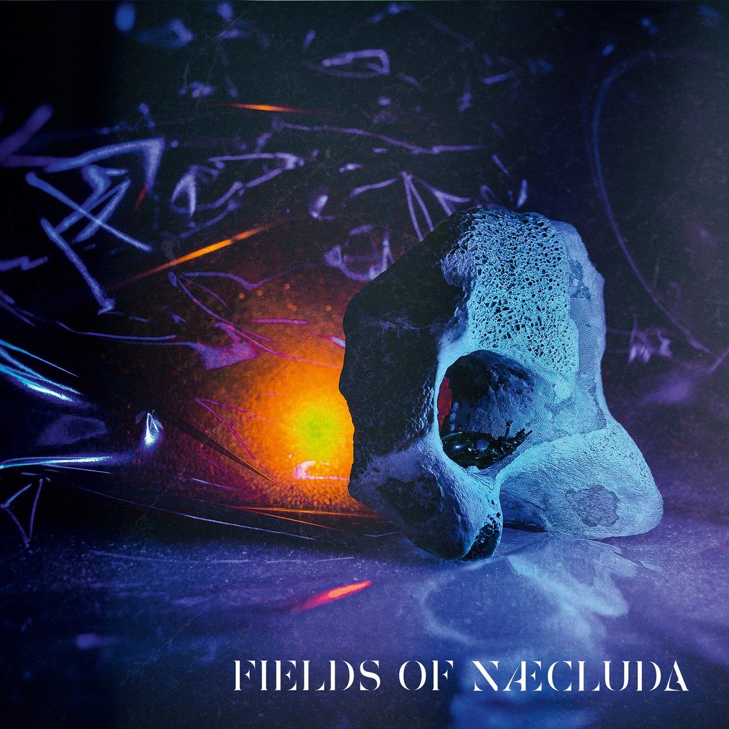 Pochette de : FIELDS OF NÆCLUDA - FIELDS OF NÆCLUDA (CD)