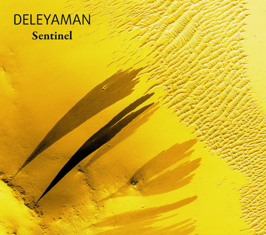 Pochette de : SENTINEL - DELEYAMAN (CD)