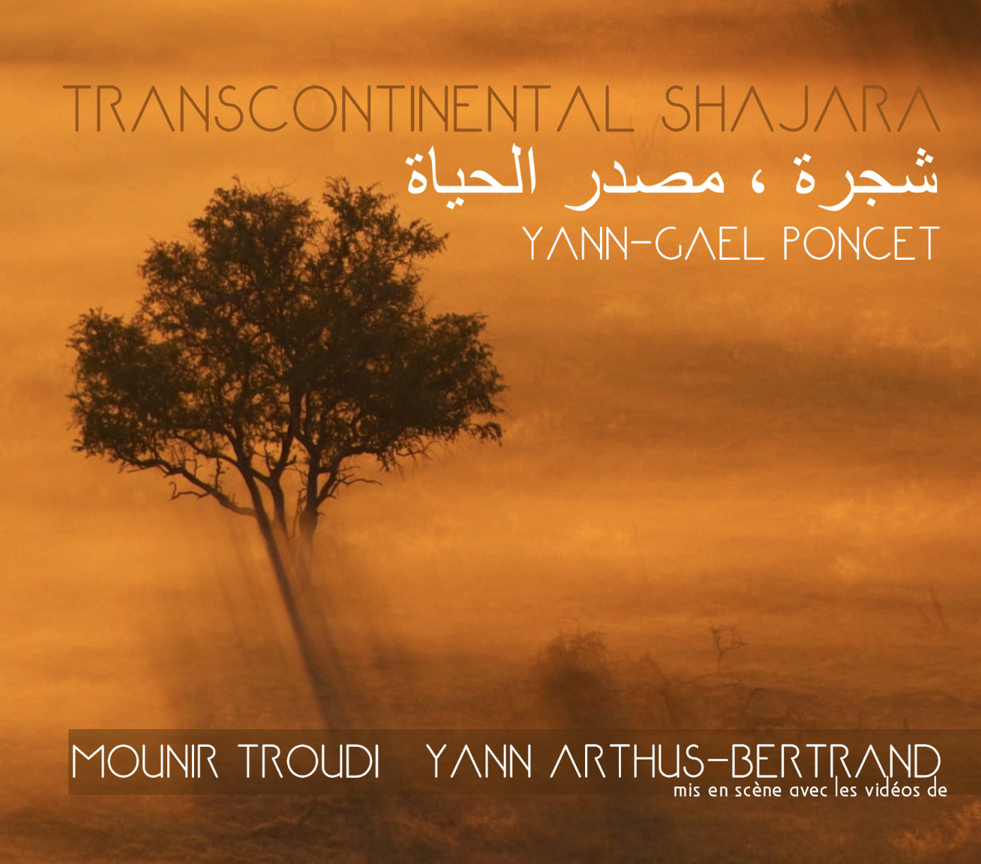 Pochette de : TRANSCONTINENTAL SHAJARA / YANN-GAËL PONCET - YANN-GAëL PONCET (CD)