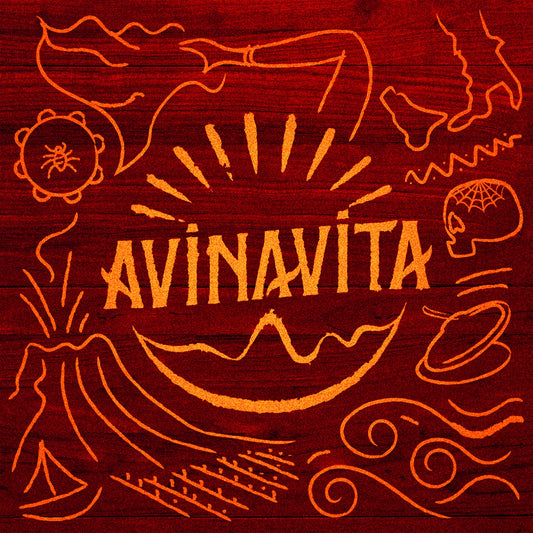 Pochette de : AVINAVITA - AVINAVITA (CD)