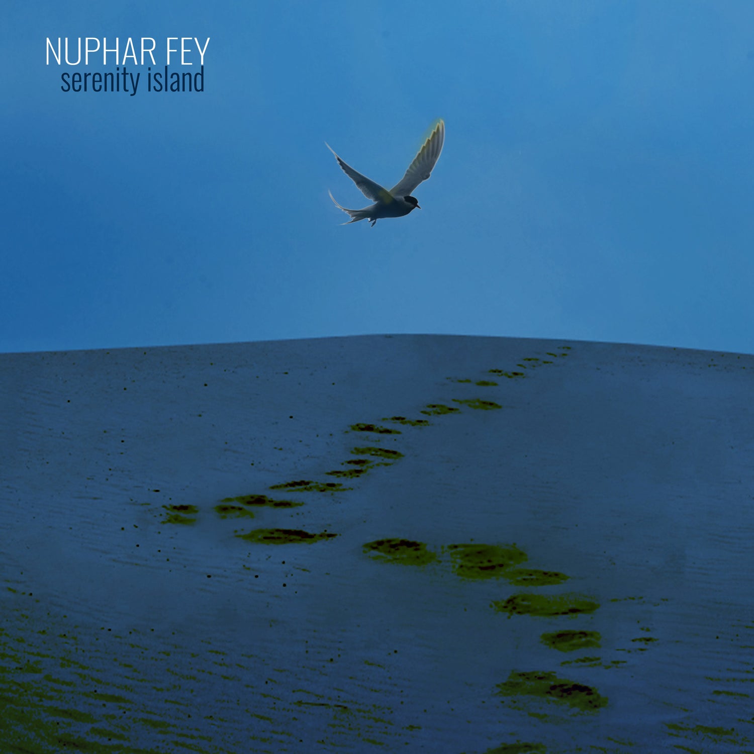 Pochette de : SERENITY ISLAND - NUPHAR FEY (CD)