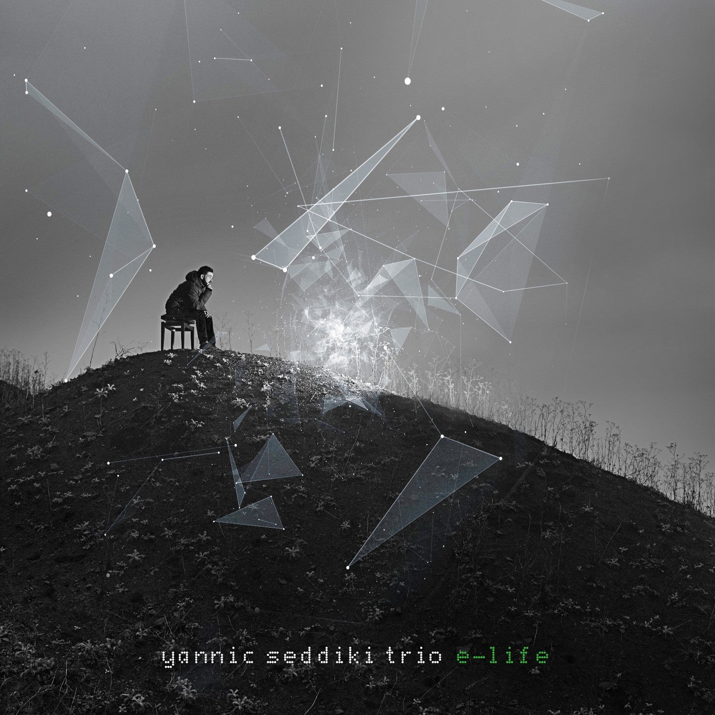Pochette de : E-LIFE - YANNIC SEDDIKI TRIO (CD)