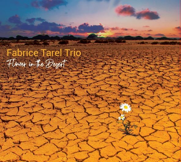 Pochette de : FLOWER IN THE DESERT - FABRICE TAREL TRIO (CD)