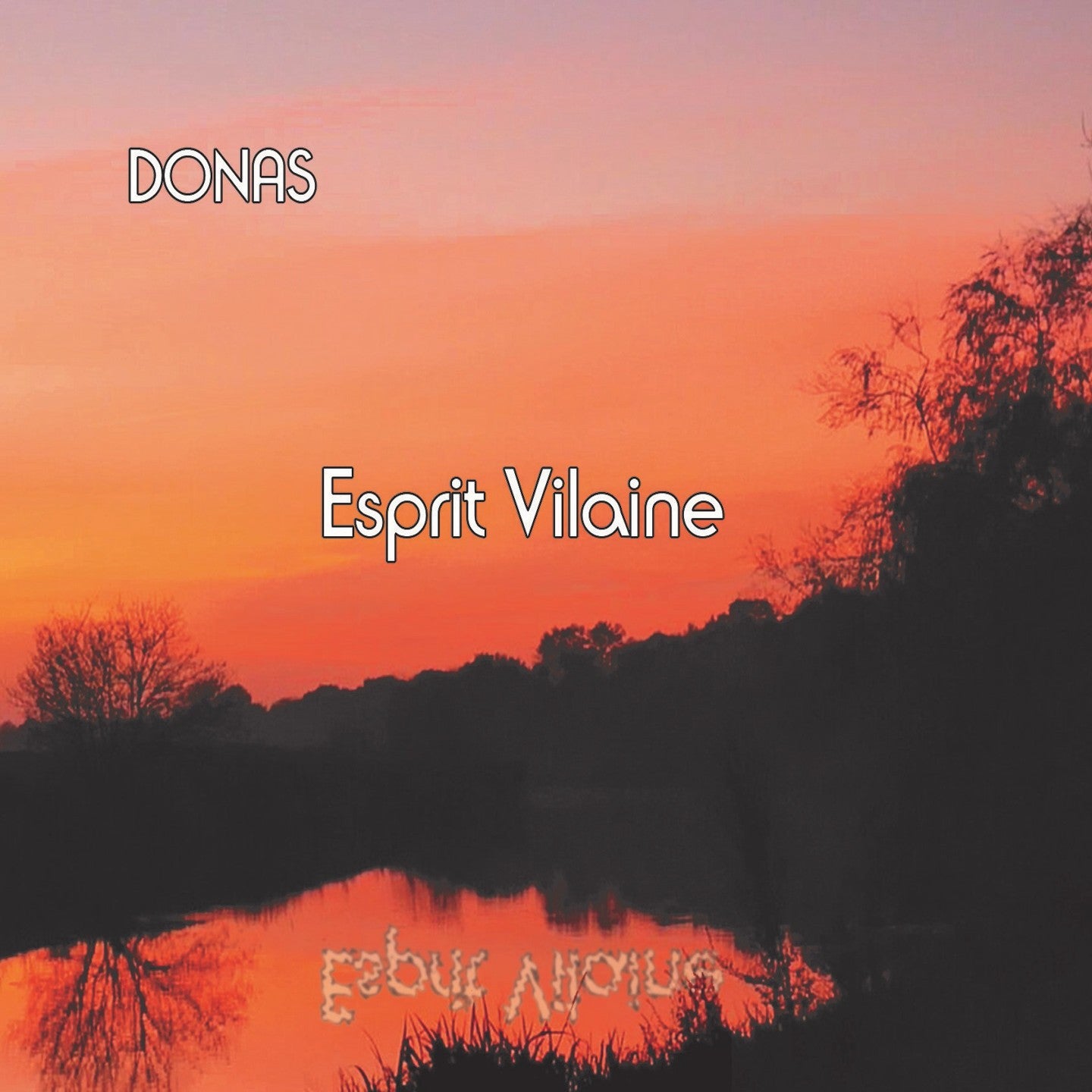 Pochette de : ESPRIT VILAINE - DONAS (CD)